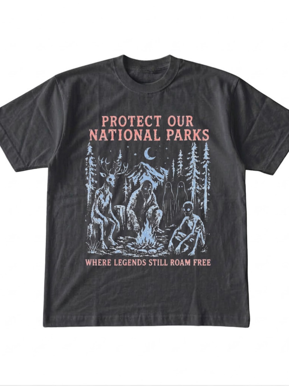Gildan Protect Our National Parks Graphic Tee